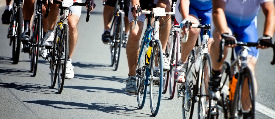 What's On: Cycling Festival Activities